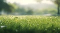 Beautiful blurred spring nature background