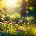 Beautiful blurred spring, summer background nature with blooming wildflowers, wild flowers in grass and butterflies soaring in