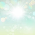 Beautiful Blurred Spring Summer Sun Nature Green Bokeh Background with Sun Royalty Free Stock Photo