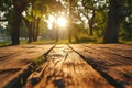 Beautiful blurred sunset view in the forest with empty wooden boards for product mockup display. Royalty Free Stock Photo