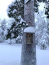 Beautiful blurred winter landscape, thick layer of snow on birdhouse, trees, active tourism in Lapland, short polar day, snowfall