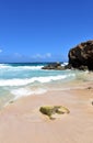 Beautiful Boca Keto Beach in Sunny Aruba Royalty Free Stock Photo