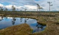 Bog landscape, the land is covered with bog vegetation, moss, grass and small pines, sky and tree reflections in swamp lake Royalty Free Stock Photo