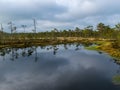 Bog landscape, the land is covered with bog vegetation, moss, grass and small pines, sky and tree reflections in swamp lake Royalty Free Stock Photo