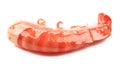 Beautiful boiled shrimps closeup. Royalty Free Stock Photo