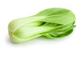 Beautiful Bok choy isolated on white Royalty Free Stock Photo