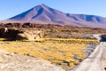 Beautiful bolivian landscape,Bolivia Royalty Free Stock Photo