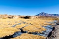 Beautiful bolivian landscape,Bolivia Royalty Free Stock Photo