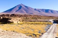 Beautiful bolivian landscape,Bolivia Royalty Free Stock Photo