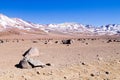 Beautiful bolivian landscape,Bolivia Royalty Free Stock Photo