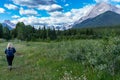 Beautiful bombshell blonde woman hiker contemplates and decides where to go next, in a grassy trail with wildflowers, in