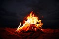 Beautiful bonfire with burning firewood on beach at night Royalty Free Stock Photo