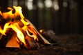 Beautiful bonfire with burning firewood in forest, closeup. Space for text