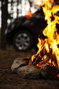 Beautiful bonfire with burning firewood near car in forest, closeup