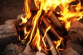 Beautiful bonfire with burning firewood outdoors, closeup