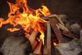 Beautiful bonfire with burning firewood outdoors.