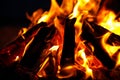 Beautiful bonfire with burning firewood outdoors at night, closeup