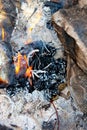 A beautiful bonfire among the stones. Fire from spruce and pine cones close-up. Burning cones on fire close up. Vertical Royalty Free Stock Photo