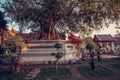 Beautiful bonsai garden in the temple of Wat Pho. Bangkok, Thailand.