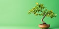 Beautiful bonsai on green background with copyspace