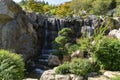 Beautiful bonsai pine tree on background of waterfall with large stones wall in park Aivazovsky Partenit Royalty Free Stock Photo