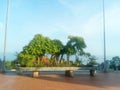 Beautiful bonsai in the temple by the sea