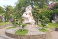 Beautiful Bonsai tree in a garden. Japanese garden or park. Nature in summer. Green background Royalty Free Stock Photo