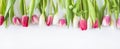Beautiful border of pink, white and purpl tulips on white background.
