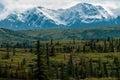 Beautiful boreal forest along the Richardson Highway in Alaska