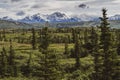 Beautiful boreal forest along the Richardson Highway in Alaska with snowcapped mountains