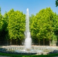 The beautiful Bosquet de la Girandole fountain of Place of Versailles