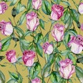 Beautiful botanical background with pink roses on stems with green leaves. Seamless floral pattern. Watercolor painting.