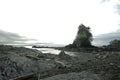 Beautiful Botanical Beach in Port Renfrew.Vancouver island Royalty Free Stock Photo