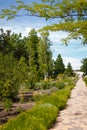 Beautiful botanical garden. Park with walkway, trees, red hot poker flower Torch lily, tritoma or kniphofia, bushes of Santolina Royalty Free Stock Photo