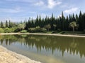 Beautiful botanical garden with tall green thuja trees, pond in Malaga park