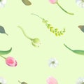 Beautiful botanical seamless pattern with tulips, white and yellow flowers and fresh leaves against light green Royalty Free Stock Photo