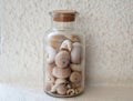 Beautiful bottle filled with assorted of sea snail shells. Glass jar with cork stopper for decoration. Collections of shells.
