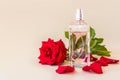 Beautiful bottle of women`s perfume on a pastel background with a chic flower of fragrant red rose . front view. template for