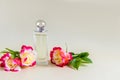 Beautiful bottle of women's perfume on a pastel background with a chic flower of fragrant rose. front view. template