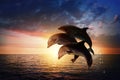 Beautiful bottlenose dolphins jumping out of sea at sunset Royalty Free Stock Photo