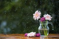 Beautiful bouqet with Gerbera daisy flowers and Chrysanthemum in vase on wooden table outdoors under the rain with droplets