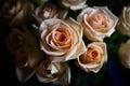 A beautiful bouqet of white roses