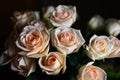 A beautiful bouqet of white roses Royalty Free Stock Photo