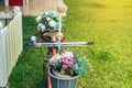 A beautiful bouquet of artificial plastic roses in bicycle front basket of old red bicycle in garden with green grass in Royalty Free Stock Photo