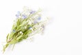 Beautiful bouquet blue and white flowers forget me not on white background Royalty Free Stock Photo