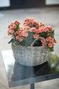 Beautiful bouquet of bright flowers in basket on the table