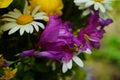 Beautiful bouquet of bright wild flowers Royalty Free Stock Photo