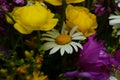 Beautiful bouquet of bright wild flowers Royalty Free Stock Photo