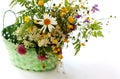 Beautiful bouquet of bright wild flowers in a green basket isolated on a white background Royalty Free Stock Photo