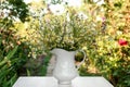 Beautiful bouquet of chamomiles in ceramic jug on white table outdoors Royalty Free Stock Photo